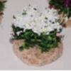 BUISSON FLEURI BLANC 3,5CM