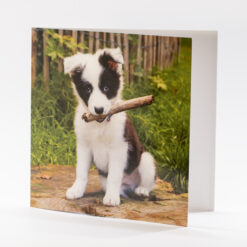CARTE 15X15CM CHIOT BOIS