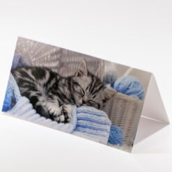 CARTE 21X10,5CM CHAT LAINE