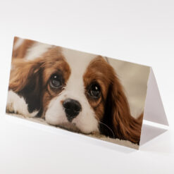 CARTE 21X10,5CM CHIOT