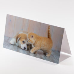 CARTE 21X10,5CM CHIOT CHATON