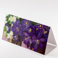 CARTE 21X10,5CM FLEURS VIOLETTES