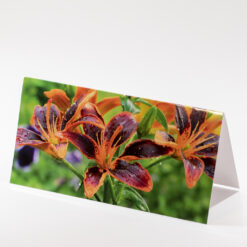 CARTE 21X10,5CM LYS