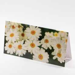 CARTE 21X10,5CM MARGUERITE