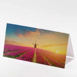 CARTE DOUBLE 21X10,5CM MOULIN
