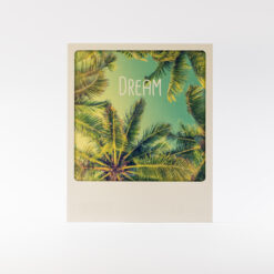 CARTE DREAM