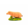 COCHON N°3 CARBONEL