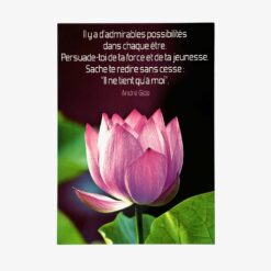 IL Y A D'ADMIRABLES POSSIBILITES   CARTE SIMPLE  360044