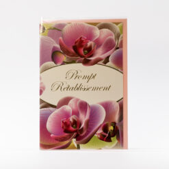 PROMPT RETABLISSEMENT FLEURS BLANCHES