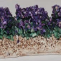 RANGEE DE LAVANDES 14CM
