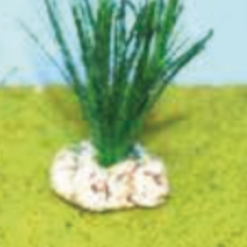 ROSEAUX VERT FONCE 6CM
