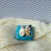 CHATS COUSSIN CASSEGRAIN