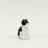 CHAT NOIR ET BLANC CASSEGRAIN