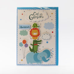 CARTE NAISSANCE GARCON ANIMAUX 3009EB
