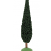 CYPRES 18CM CARBONEL
