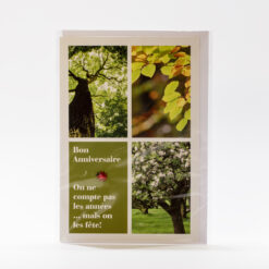 CARTE BONNE ANNIVERSAIRE COCCINELLE