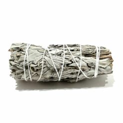 BATON PURIFICATEUR SAUGE BLANCHE 40G 10,5CM