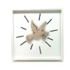 CADRE BOIS DECOUPE COLOMBE 15X15CM