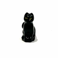 CHAT NOIR CASSEGRAIN