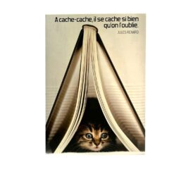 A CACHE CACHE.....CARTE SIMPLE 360060