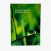 TROUVE TON ETERNITE  CARTE SIMPLE 360052